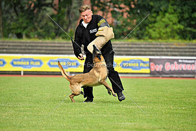 Stylish Motion`s Apple